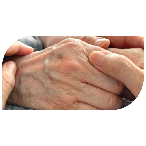 家族が笑顔で見守るイメージ